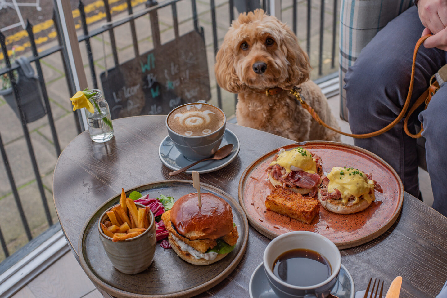 The ultimate guide to the best dog friendly places to eat in Cheltenham